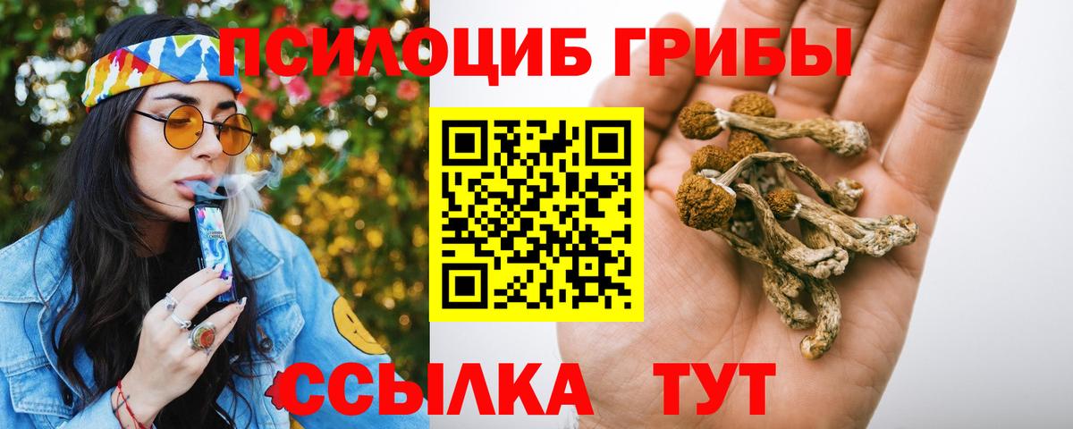 Галлюциногенные грибы мухоморы  Вход с VPN  Добрянка  Галлюциногенные грибы Cubensis 